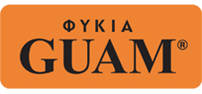 guam logo